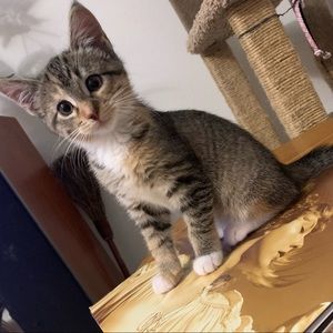 Meet your Posher, Caitlin